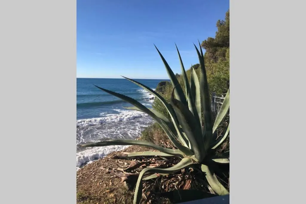 Appartement La petite Pinède à Sanary-sur-Mer